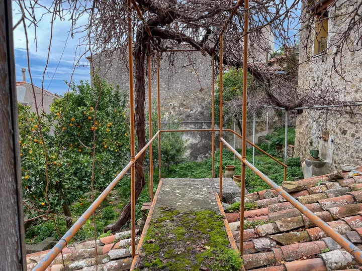 Palazzo Virga: fotografia dell’agenzia 8