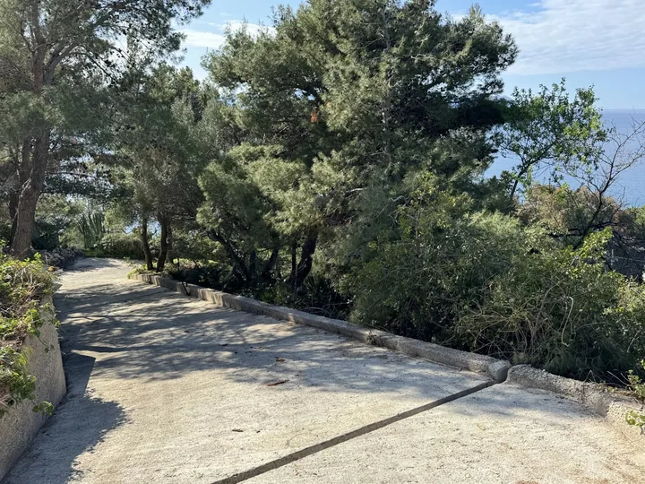 Villa Vanessa: fotografia dell’agenzia 58