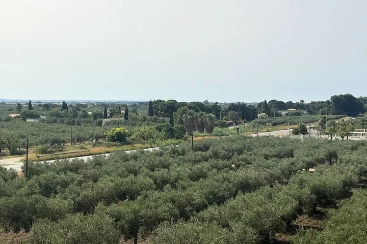 Villa Paradiso: fotografia dell’agenzia 52