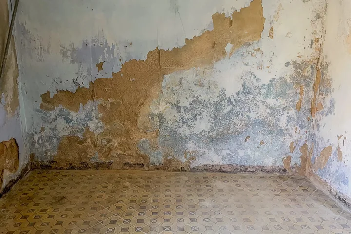 Palazzo Peri: fotografia dell’agenzia 28