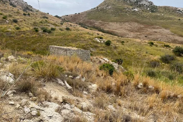 Plot Galia: fotografia dell’agenzia 11