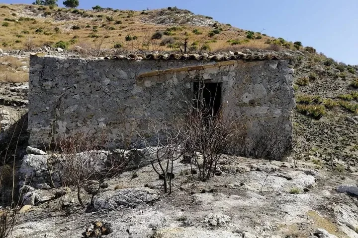 Plot Galia: fotografia dell’agenzia 9