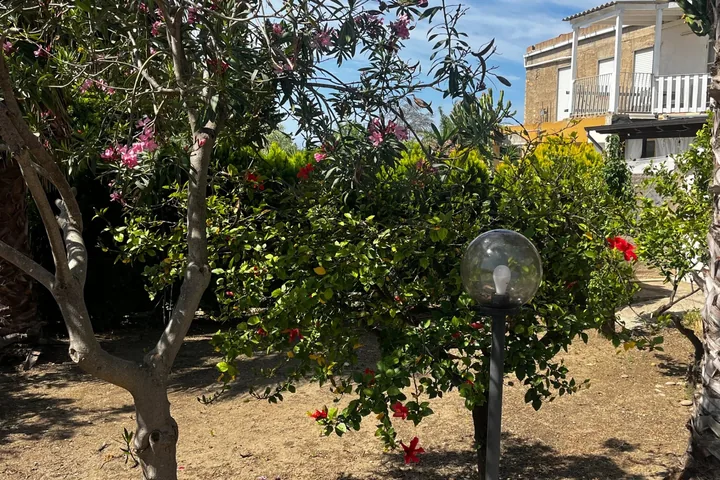 Casa Carmelo: fotografia dell’agenzia 35