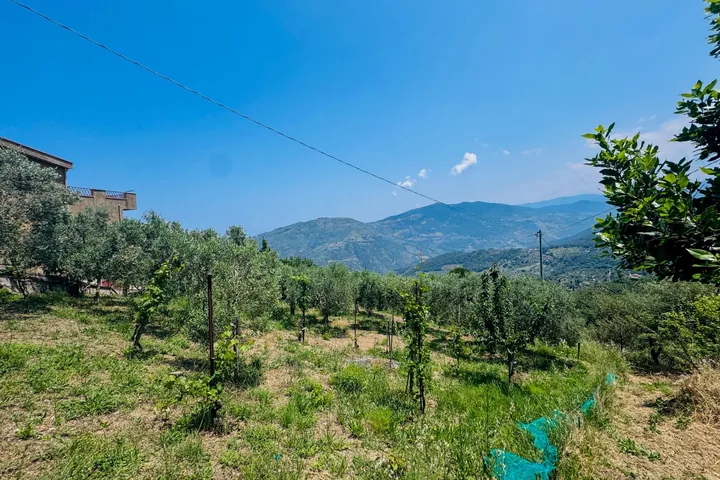 Casa Marinella: fotografia dell’agenzia 53