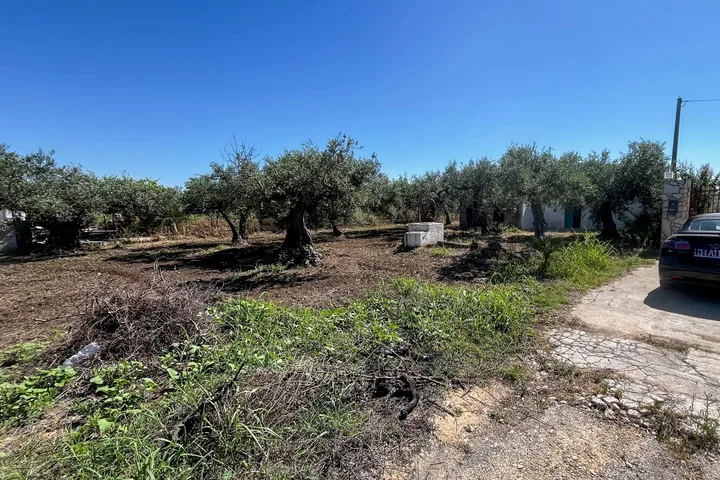Terreno con Rustico: fotografia dell’agenzia 2