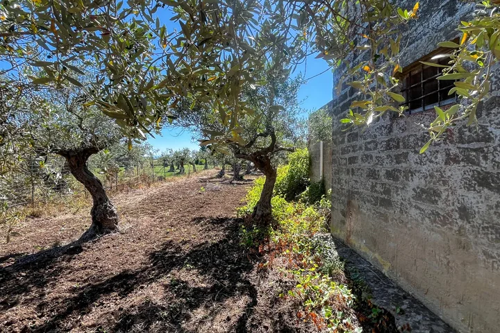 Terreno con Rustico: fotografia dell’agenzia 4