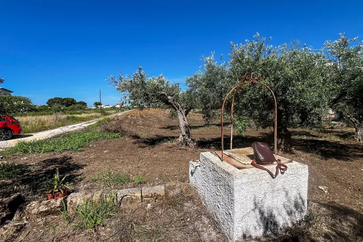 Terreno con Rustico: fotografia dell’agenzia 3