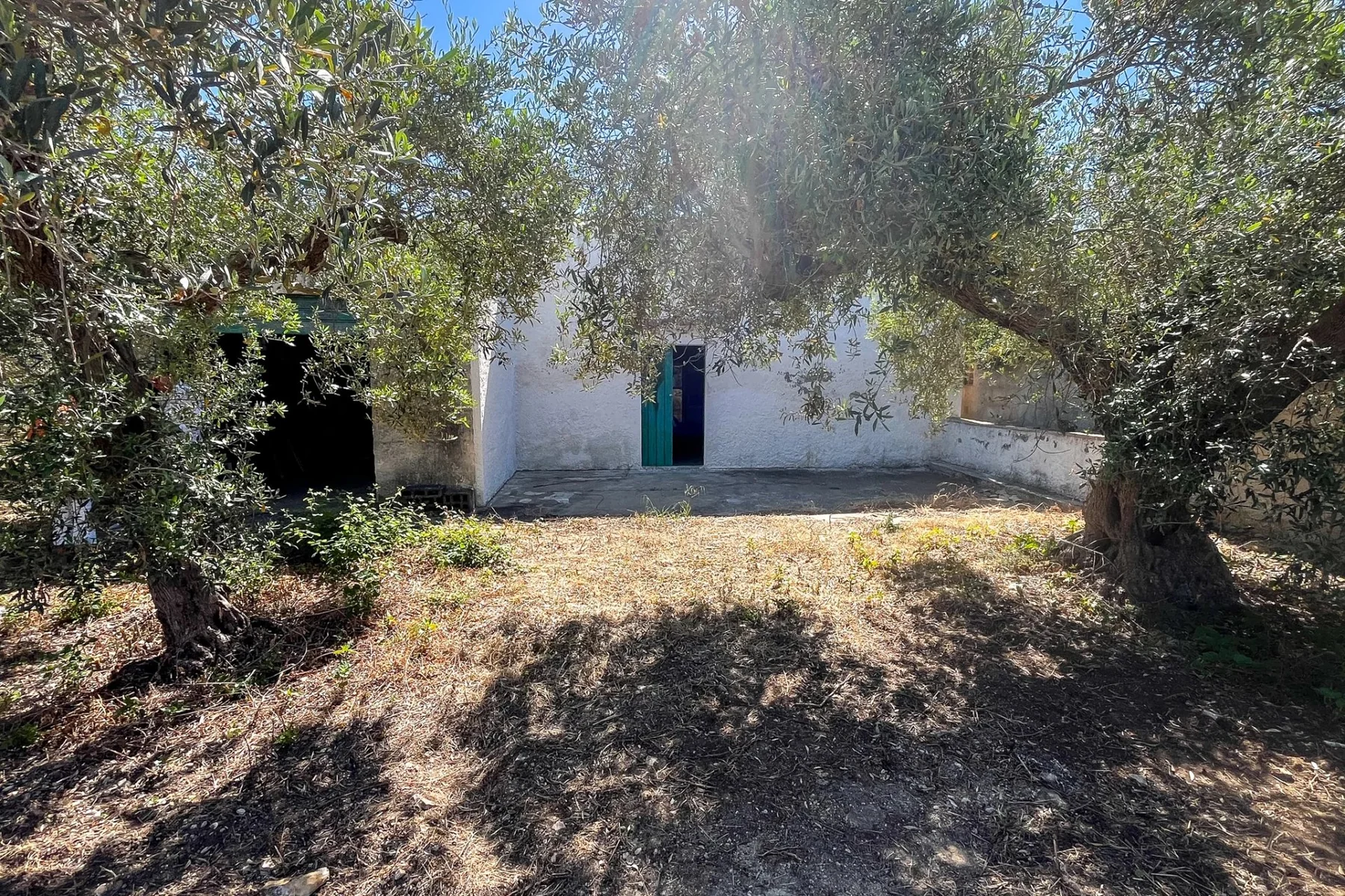 Terreno con Rustico: fotografia dell’agenzia 1