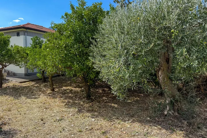 Casa Rosa Maria: fotografia dell’agenzia 37