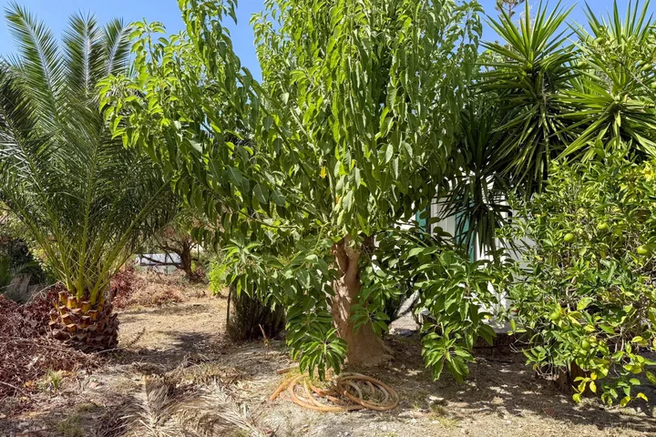 Casa Rosa Maria: fotografia dell’agenzia 31