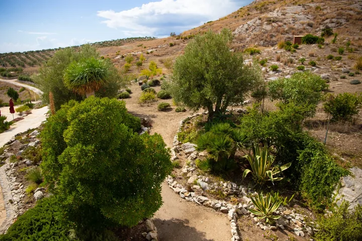 Casa Balata: fotografia dell’agenzia 38