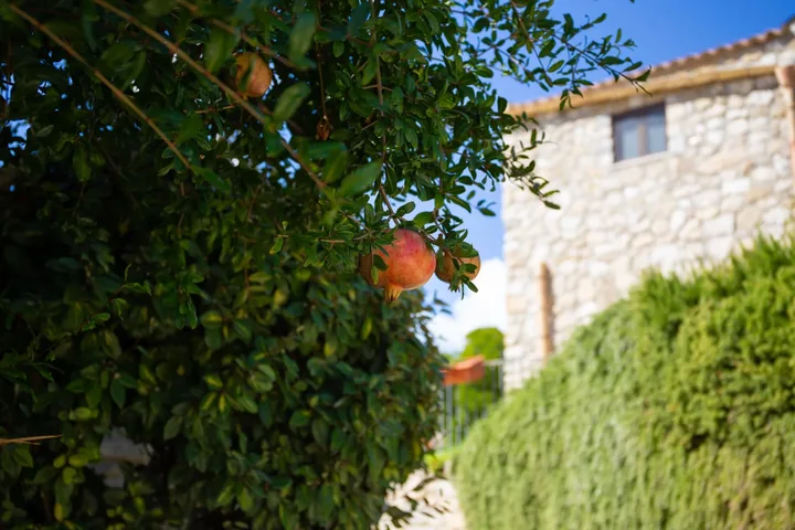 Casa Balata: fotografia dell’agenzia 44