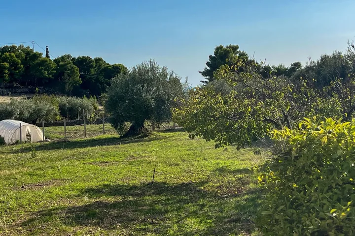 Casa Brigitte: fotografia dell’agenzia 24