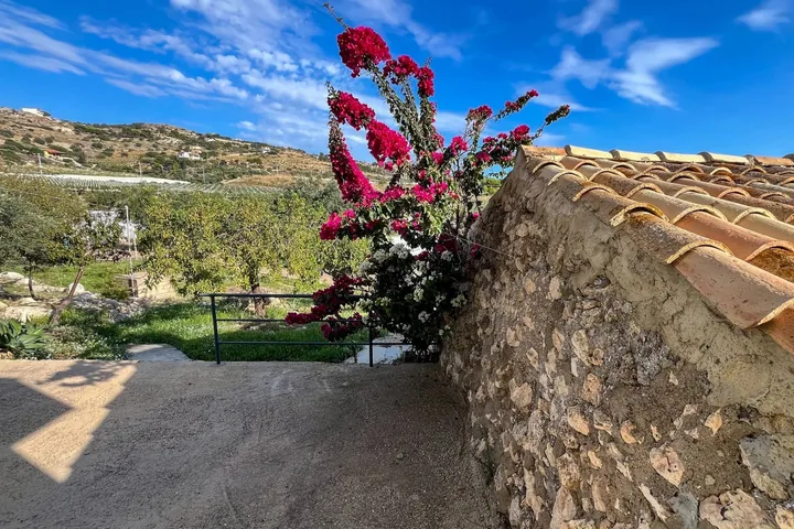 Casa Brigitte: fotografia dell’agenzia 33