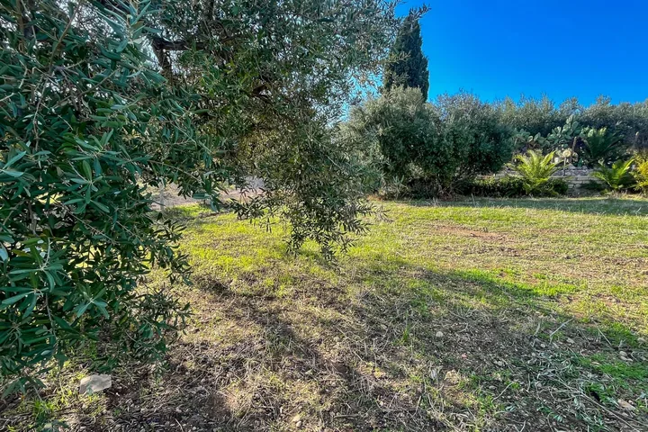 Casa Brigitte: fotografia dell’agenzia 36