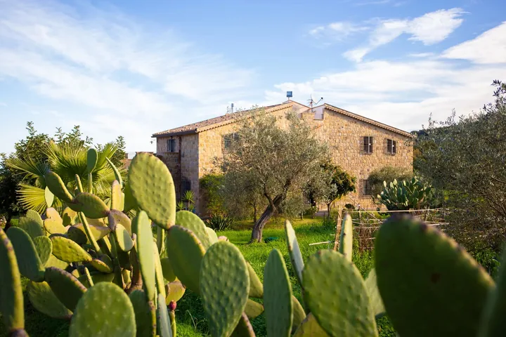 Villa Valeria: fotografia dell’agenzia 40