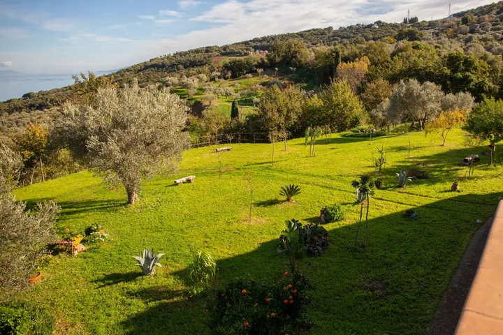 Villa Valeria: fotografia dell’agenzia 50