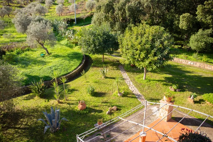 Villa Valeria: fotografia dell’agenzia 47