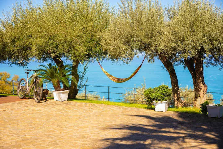 Villa Infinito: fotografia dell’agenzia 58