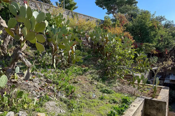 Casa Rosaria: fotografia dell’agenzia 29