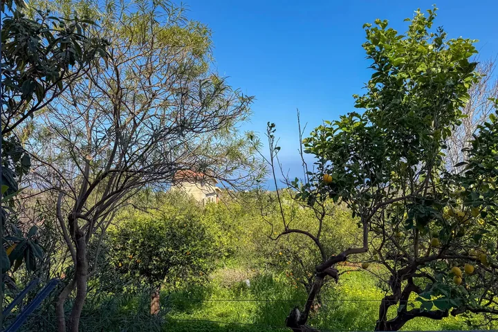 Villa Giovanna: fotografia dell’agenzia 40