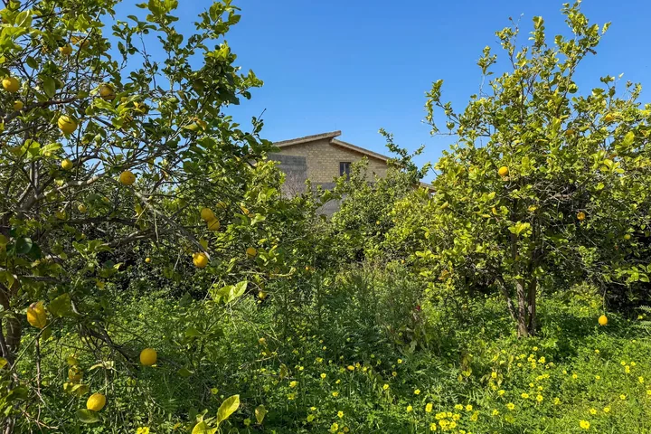 Villa Giovanna: fotografia dell’agenzia 39