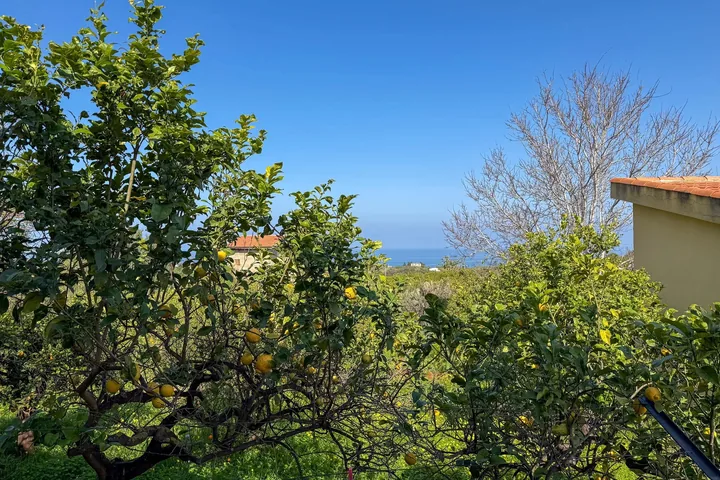 Villa Giovanna: fotografia dell’agenzia 41