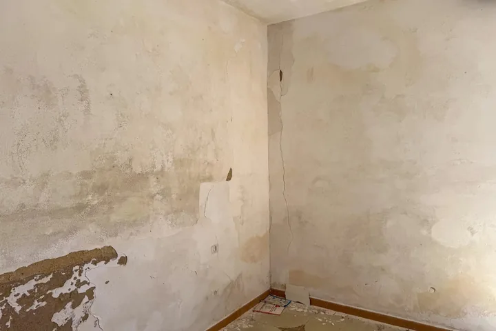 Casa Isolotto: fotografia dell’agenzia 28