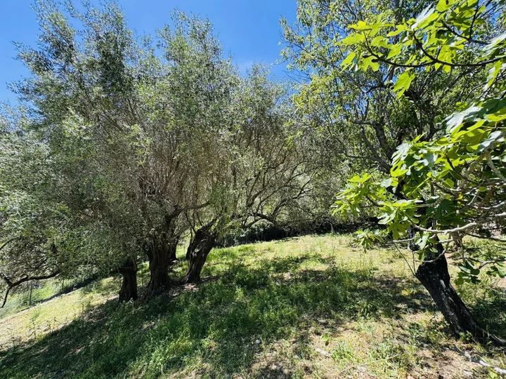 Villa Antonello: fotografia dell’agenzia 49