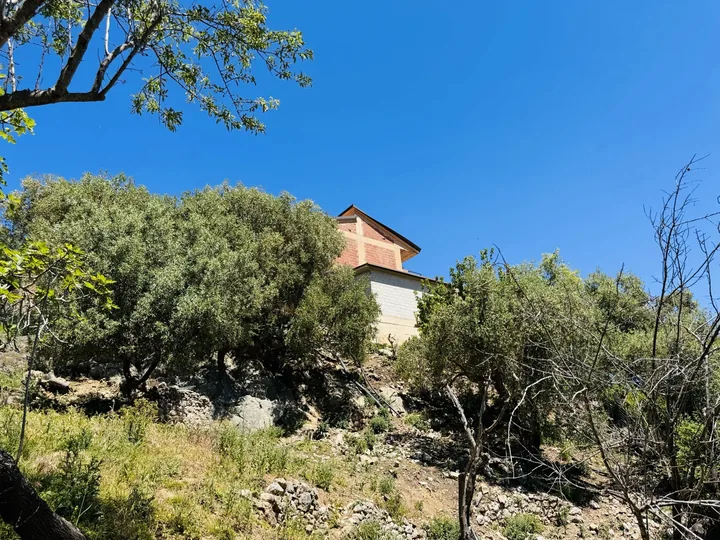 Villa Antonello: fotografia dell’agenzia 50