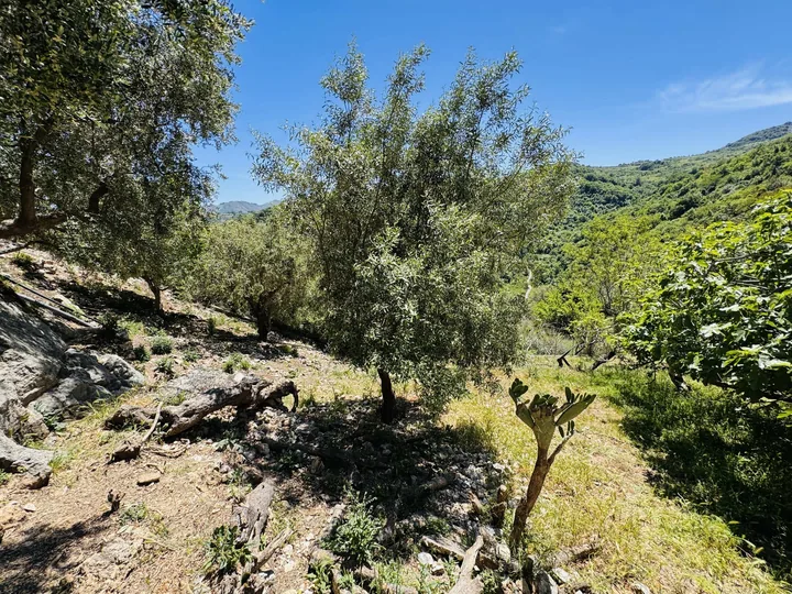 Villa Antonello: fotografia dell’agenzia 46
