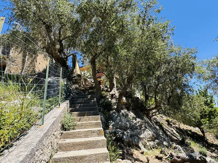 Villa Antonello: fotografia dell’agenzia 51