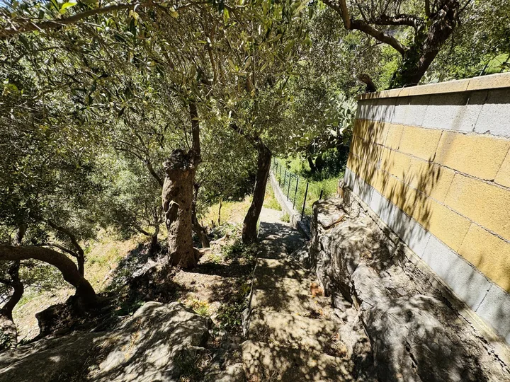 Villa Antonello: fotografia dell’agenzia 45