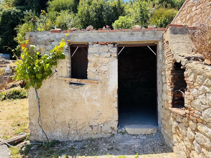 Casetta Chiara: fotografia dell’agenzia 17