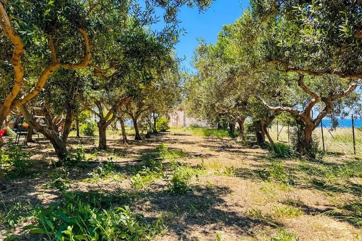 Villa Antonella: fotografia dell’agenzia 64