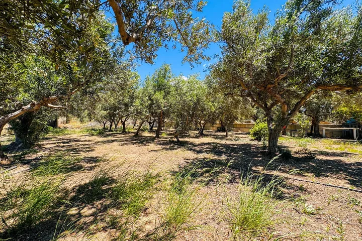 Villa Antonella: fotografia dell’agenzia 63