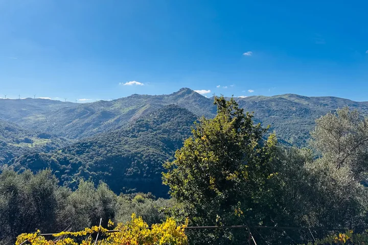 Casa Franco: fotografia dell’agenzia 21