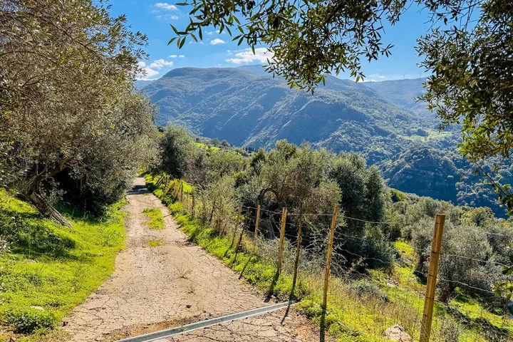 Casa Franco: fotografia dell’agenzia 32