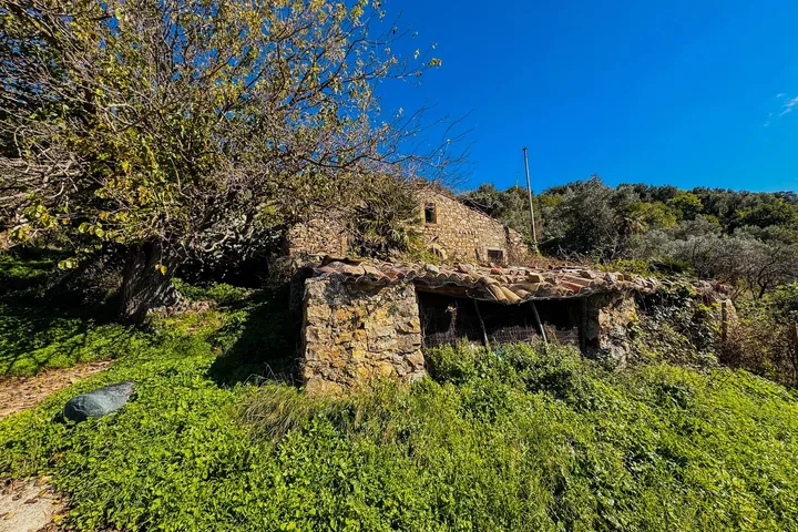 Casa Franco: fotografia dell’agenzia 34