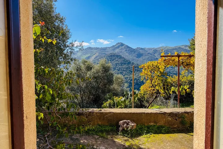 Casa Franco: fotografia dell’agenzia 11