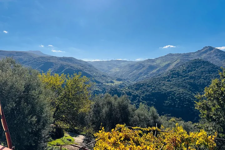 Casa Franco: fotografia dell’agenzia 30