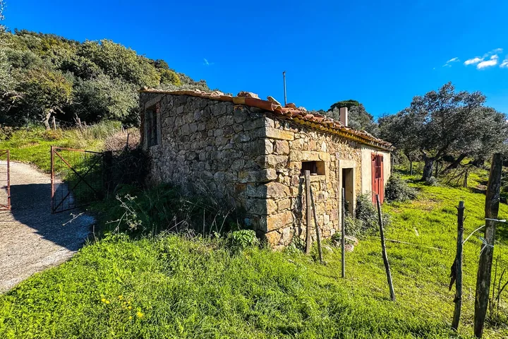 Casa Franco: fotografia dell’agenzia 29