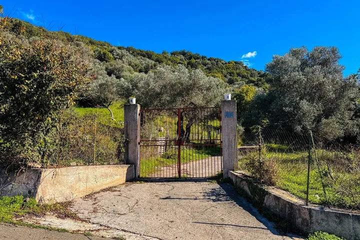 Casa Franco: fotografia dell’agenzia 24