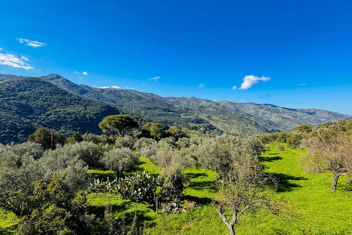 Casa Franco: fotografia dell’agenzia 39