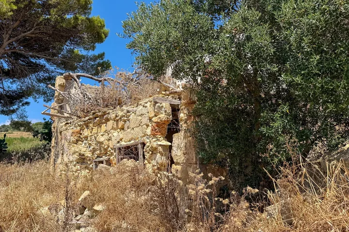 Casale Torrazza: fotografia dell’agenzia 9