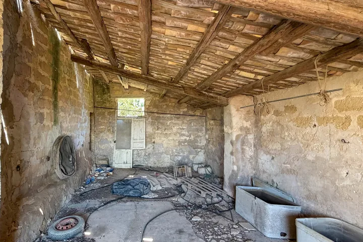 Casale Torrazza: fotografia dell’agenzia 19