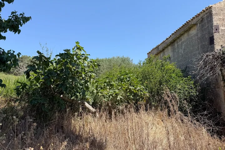 Casale Torrazza: fotografia dell’agenzia 26