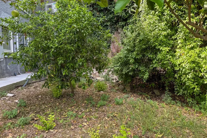 Casa Francesco: fotografia dell’agenzia 57
