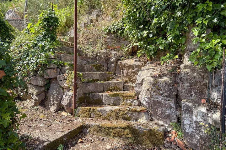 Casa Francesco: fotografia dell’agenzia 56