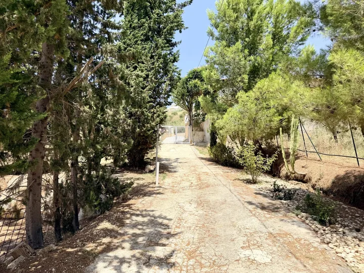 Villa Florinda: fotografia dell’agenzia 5